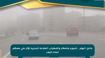 عاجل اليوم.. شبورة وأمطار واضطراب الملاحة البحرية تؤثر على معظم أنحاء البلاد